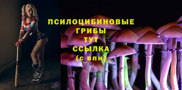 бошки Михайлов