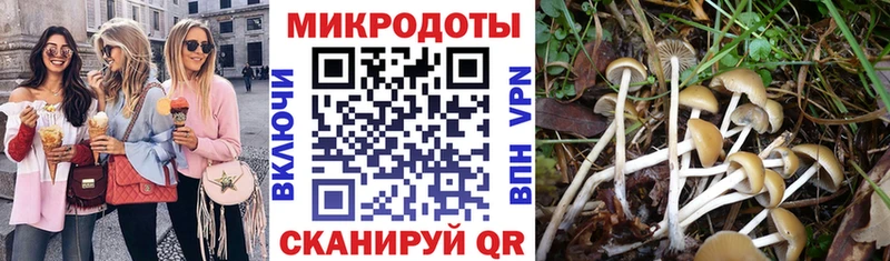 Псилоцибиновые грибы Magic Shrooms  darknet клад  Мезень 